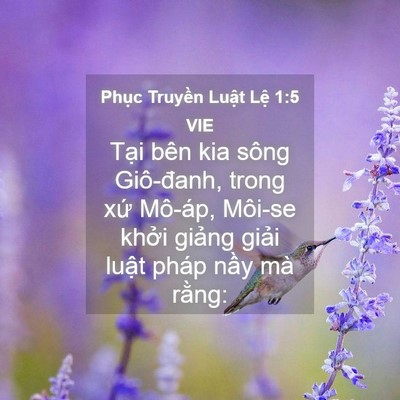 Picture 04 - Phục Truyền Luật Lệ 1:5 VIE - Tại bên kia sông Giô-đanh, trong xứ - Bible Verse Picture