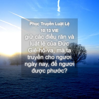 Picture 04 - Phục Truyền Luật Lệ 10:13 VIE - giữ các điều răn và luật lệ của - Bible Verse Picture