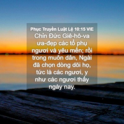 Picture 04 - Phục Truyền Luật Lệ 10:15 VIE - Chỉn Đức Giê-hô-va ưa-đẹp các tổ - Bible Verse Picture