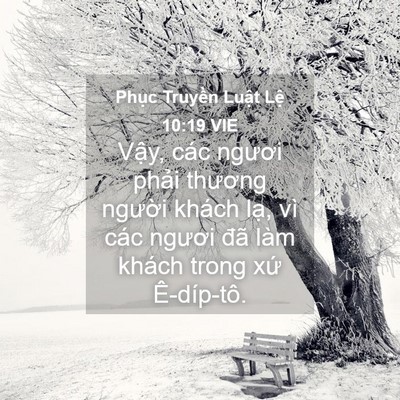 Picture 04 - Phục Truyền Luật Lệ 10:19 VIE - Vậy, các ngươi phải thương người - Bible Verse Picture