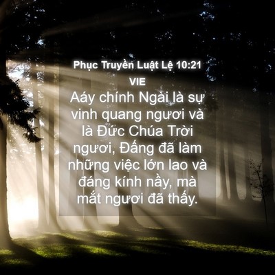 Picture 04 - Phục Truyền Luật Lệ 10:21 VIE - Aáy chính Ngài là sự vinh quang ngươi và - Bible Verse Picture