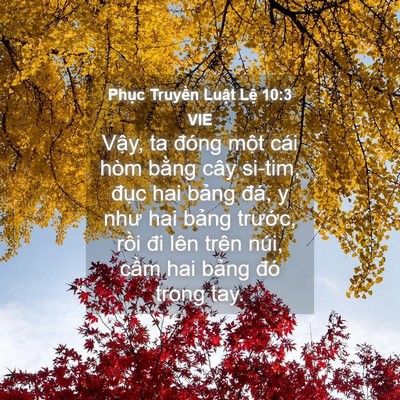 Picture 04 - Phục Truyền Luật Lệ 10:3 VIE - Vậy, ta đóng một cái hòm bằng cây - Bible Verse Picture