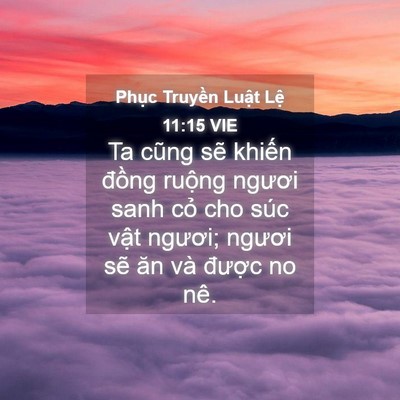 Picture 04 - Phục Truyền Luật Lệ 11:15 VIE - Ta cũng sẽ khiến đồng ruộng ngươi - Bible Verse Picture