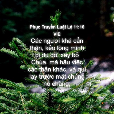 Picture 04 - Phục Truyền Luật Lệ 11:16 VIE - Các ngươi khá cẩn thận, kẻo lòng mình - Bible Verse Picture