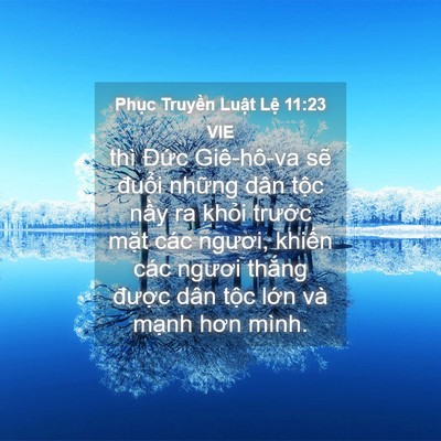 Picture 04 - Phục Truyền Luật Lệ 11:23 VIE - thì Đức Giê-hô-va sẽ đuổi những dân - Bible Verse Picture