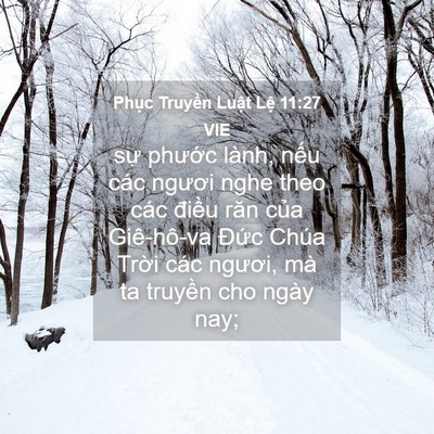 Picture 04 - Phục Truyền Luật Lệ 11:27 VIE - sự phước lành, nếu các ngươi nghe theo - Bible Verse Picture
