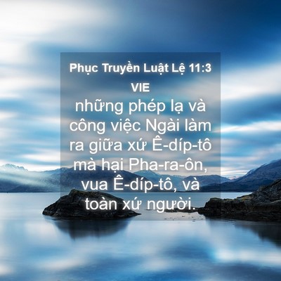 Picture 04 - Phục Truyền Luật Lệ 11:3 VIE - những phép lạ và công việc Ngài làm ra - Bible Verse Picture