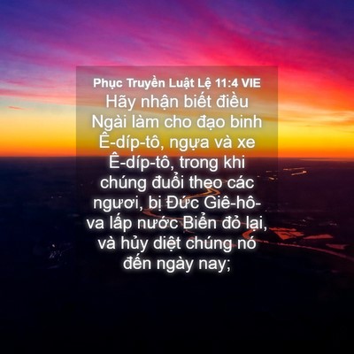 Picture 04 - Phục Truyền Luật Lệ 11:4 VIE - Hãy nhận biết điều Ngài làm cho đạo - Bible Verse Picture