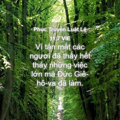 Picture 04 - Phục Truyền Luật Lệ 11:7 VIE - Vì tận mắt các ngươi đã thấy hết - Bible Verse Picture