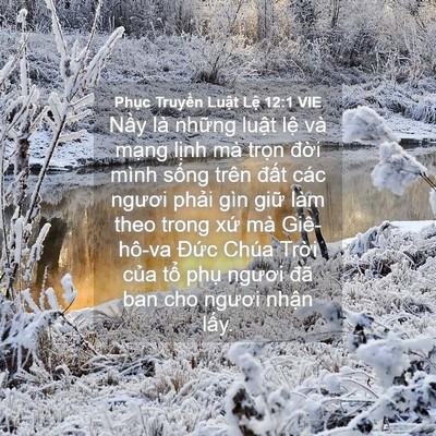 Picture 04 - Phục Truyền Luật Lệ 12:1 VIE - Nầy là những luật lệ và mạng lịnh - Bible Verse Picture