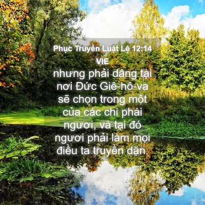 Picture 04 - Phục Truyền Luật Lệ 12:14 VIE - nhưng phải dâng tại nơi Đức Giê-hô-va - Bible Verse Picture