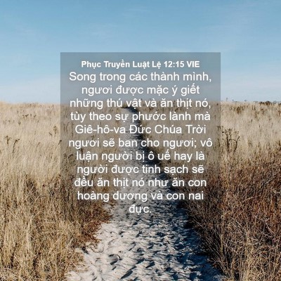 Picture 04 - Phục Truyền Luật Lệ 12:15 VIE - Song trong các thành mình, ngươi được - Bible Verse Picture