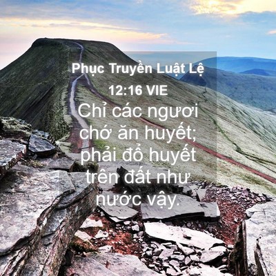 Picture 04 - Phục Truyền Luật Lệ 12:16 VIE - Chỉ các ngươi chớ ăn huyết; phải - Bible Verse Picture