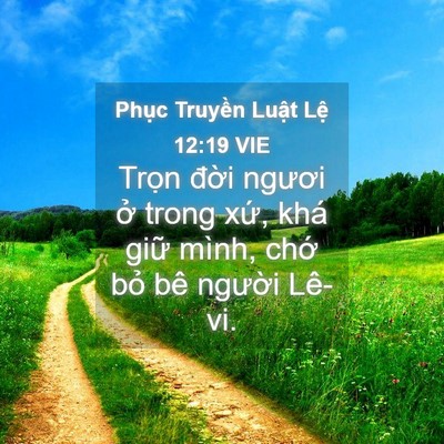 Picture 04 - Phục Truyền Luật Lệ 12:19 VIE - Trọn đời ngươi ở trong xứ, khá giữ - Bible Verse Picture