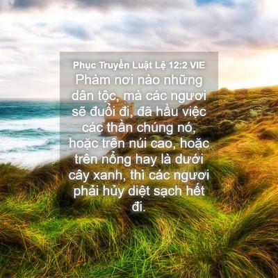 Picture 04 - Phục Truyền Luật Lệ 12:2 VIE - Phàm nơi nào những dân tộc, mà các - Bible Verse Picture