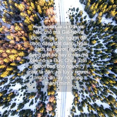 Picture 04 - Phục Truyền Luật Lệ 12:21 VIE - Nếu chỗ mà Giê-hô-va Đức Chúa Trời - Bible Verse Picture