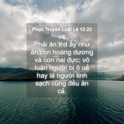 Picture 04 - Phục Truyền Luật Lệ 12:22 VIE - Phải ăn thịt ấy như ăn con hoàng - Bible Verse Picture