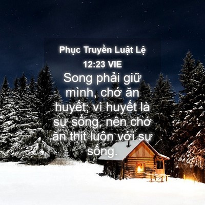 Picture 04 - Phục Truyền Luật Lệ 12:23 VIE - Song phải giữ mình, chớ ăn huyết; vì - Bible Verse Picture