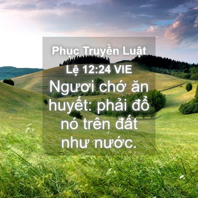 Picture 04 - Phục Truyền Luật Lệ 12:24 VIE - Ngươi chớ ăn huyết: phải đổ nó trên - Bible Verse Picture