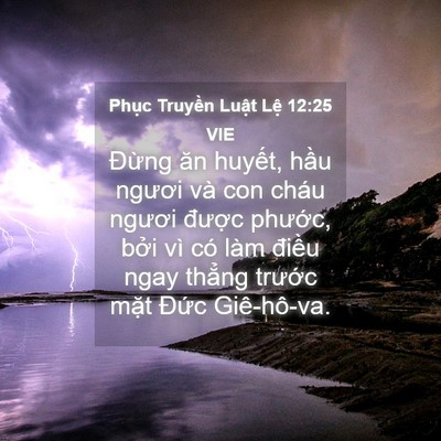 Picture 04 - Phục Truyền Luật Lệ 12:25 VIE - Đừng ăn huyết, hầu ngươi và con cháu - Bible Verse Picture