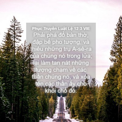 Picture 04 - Phục Truyền Luật Lệ 12:3 VIE - Phải phá đổ bàn thờ, đập bể pho - Bible Verse Picture