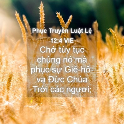 Picture 04 - Phục Truyền Luật Lệ 12:4 VIE - Chớ tùy tục chúng nó mà phục sự - Bible Verse Picture