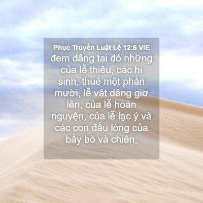 Picture 04 - Phục Truyền Luật Lệ 12:6 VIE - đem dâng tại đó những của lễ thiêu, - Bible Verse Picture