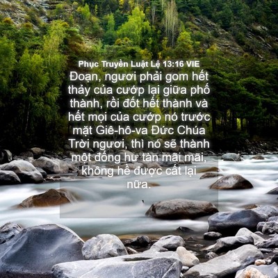 Picture 04 - Phục Truyền Luật Lệ 13:16 VIE - Đoạn, ngươi phải gom hết thảy của - Bible Verse Picture