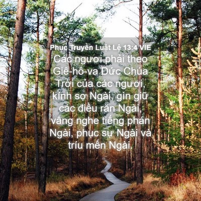 Picture 04 - Phục Truyền Luật Lệ 13:4 VIE - Các ngươi phải theo Giê-hô-va Đức Chúa - Bible Verse Picture