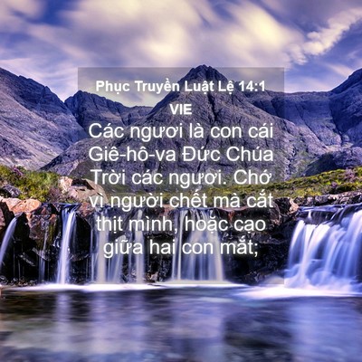 Picture 04 - Phục Truyền Luật Lệ 14:1 VIE - Các ngươi là con cái Giê-hô-va Đức - Bible Verse Picture