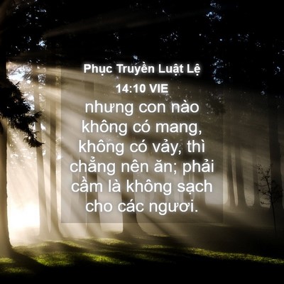 Picture 04 - Phục Truyền Luật Lệ 14:10 VIE - nhưng con nào không có mang, không có - Bible Verse Picture