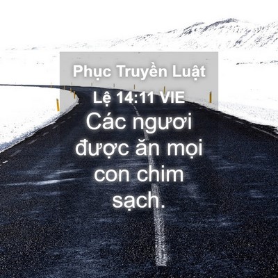 Picture 04 - Phục Truyền Luật Lệ 14:11 VIE - Các ngươi được ăn mọi con chim - Bible Verse Picture