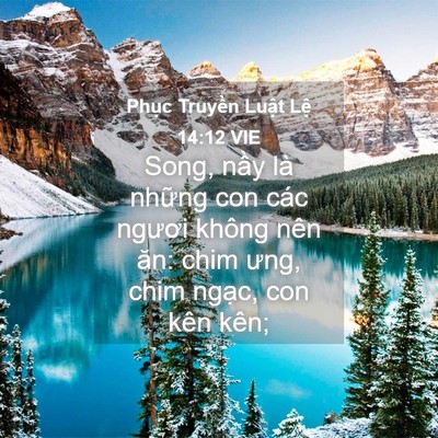Picture 04 - Phục Truyền Luật Lệ 14:12 VIE - Song, nầy là những con các ngươi không - Bible Verse Picture