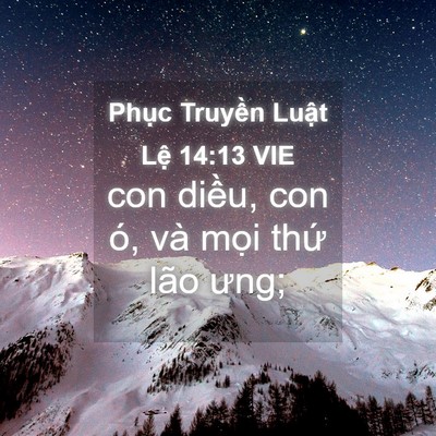 Picture 04 - Phục Truyền Luật Lệ 14:13 VIE - con diều, con ó, và mọi thứ lão - Bible Verse Picture