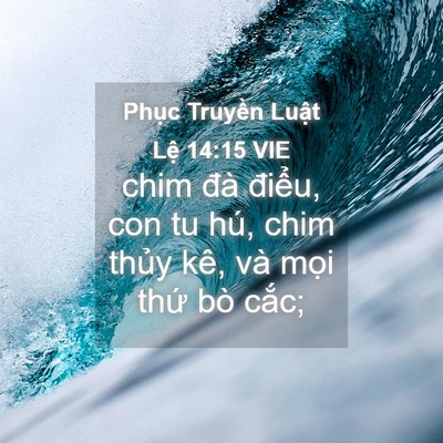Picture 04 - Phục Truyền Luật Lệ 14:15 VIE - chim đà điểu, con tu hú, chim thủy kê, - Bible Verse Picture