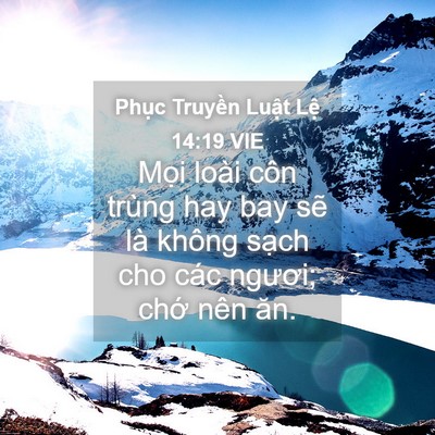 Picture 04 - Phục Truyền Luật Lệ 14:19 VIE - Mọi loài côn trùng hay bay sẽ là không - Bible Verse Picture