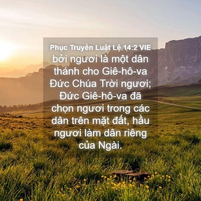 Picture 04 - Phục Truyền Luật Lệ 14:2 VIE - bởi ngươi là một dân thánh cho - Bible Verse Picture