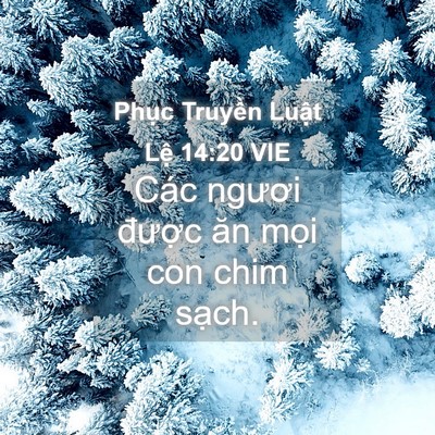 Picture 04 - Phục Truyền Luật Lệ 14:20 VIE - Các ngươi được ăn mọi con chim - Bible Verse Picture