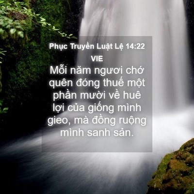 Picture 04 - Phục Truyền Luật Lệ 14:22 VIE - Mỗi năm ngươi chớ quên đóng thuế - Bible Verse Picture