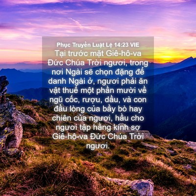 Picture 04 - Phục Truyền Luật Lệ 14:23 VIE - Tại trước mặt Giê-hô-va Đức Chúa - Bible Verse Picture