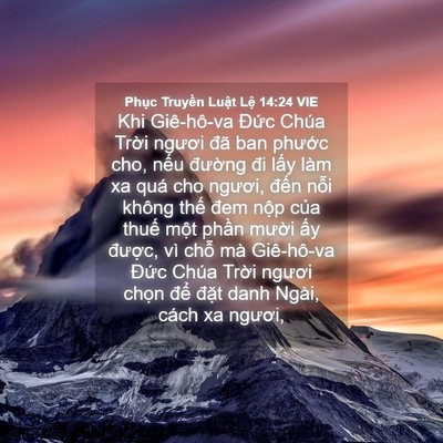 Picture 04 - Phục Truyền Luật Lệ 14:24 VIE - Khi Giê-hô-va Đức Chúa Trời ngươi đã - Bible Verse Picture