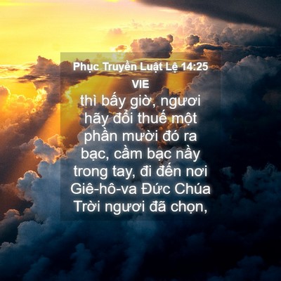 Picture 04 - Phục Truyền Luật Lệ 14:25 VIE - thì bấy giờ, ngươi hãy đổi thuế - Bible Verse Picture