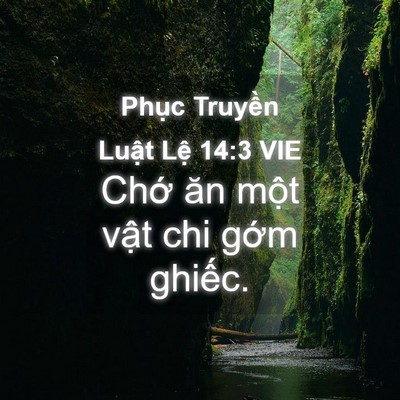 Picture 04 - Phục Truyền Luật Lệ 14:3 VIE - Chớ ăn một vật chi gớm - Bible Verse Picture