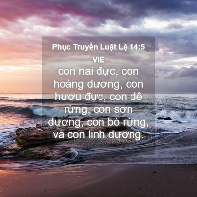 Picture 04 - Phục Truyền Luật Lệ 14:5 VIE - con nai đực, con hoàng dương, con hươu - Bible Verse Picture