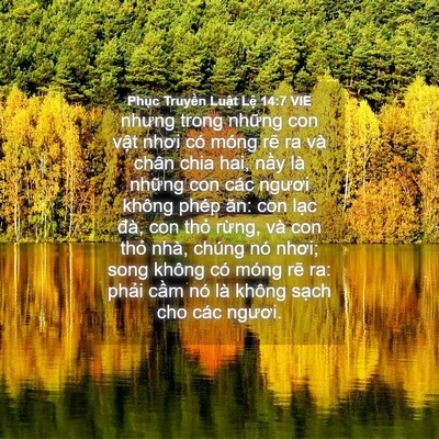 Picture 04 - Phục Truyền Luật Lệ 14:7 VIE - nhưng trong những con vật nhơi có móng - Bible Verse Picture