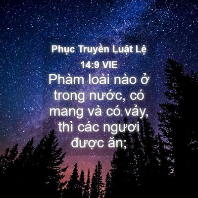 Picture 04 - Phục Truyền Luật Lệ 14:9 VIE - Phàm loài nào ở trong nước, có mang và - Bible Verse Picture