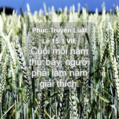 Picture 04 - Phục Truyền Luật Lệ 15:1 VIE - Cuối mỗi năm thứ bảy, ngươi phải - Bible Verse Picture