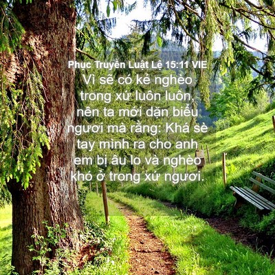 Picture 04 - Phục Truyền Luật Lệ 15:11 VIE - Vì sẽ có kẻ nghèo trong xứ luôn luôn, - Bible Verse Picture
