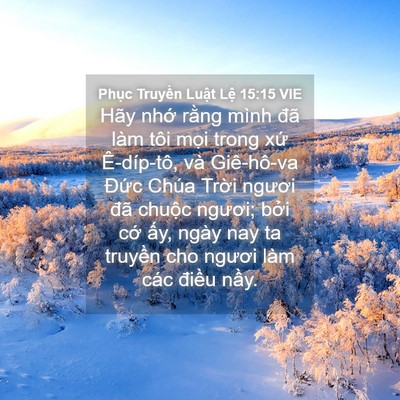 Picture 04 - Phục Truyền Luật Lệ 15:15 VIE - Hãy nhớ rằng mình đã làm tôi mọi - Bible Verse Picture