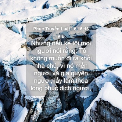 Picture 04 - Phục Truyền Luật Lệ 15:16 VIE - Nhưng nếu kẻ tôi mọi ngươi nói rằng: - Bible Verse Picture